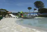Cavallino foto 22