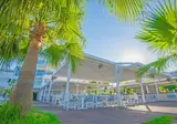 Silver Sands Beach Hotel foto 25
