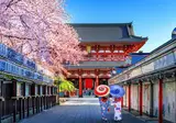 15 daagse reis Het beste van Japan foto 1