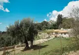 Villa Panorea foto 3