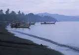 The Damai foto 29
