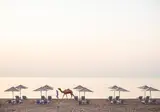InterContinental Fujairah Resort foto 5