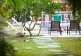 Nai Yang Beach Resort foto 28