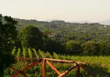 Le Case del Merlo foto 11
