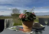 Hotelhuisjes Medemblik foto 4