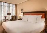 Hyatt Regency Hesperia Madrid foto 13