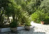 Tenuta Belvedere foto 17
