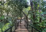 The Reef Playacar Beach Resort & Spa foto 20
