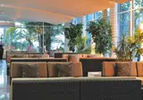 Allsun Hotel Esquinzo Beach foto 6