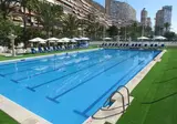 Albahia Alicante foto 1