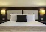 Hotel Executive Siena foto 2