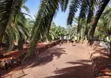 Las Marismas de Corralejo foto 26