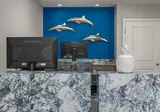 Dolphin's Cove Resort foto 21
