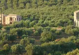 Liotrivi Historical Mansion & Boutique Hotel foto 23