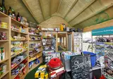 Knaus Campingpark Rügen foto 15