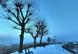 Kerst en Oud en Nieuw in de Alpenlanden, Widnau foto 11