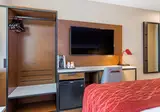 Comfort Inn JFK Airport foto 9