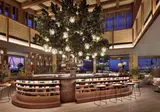 The Ritz-Carlton Dubai foto 9