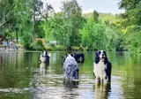 Vodatent Camping Vallee de L'Our foto 3