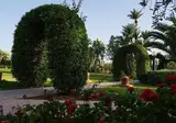 Riad Palais Mehdi foto 10