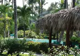 Playa Colibri foto 5