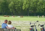 Landgoed Ruwinkel foto 41