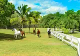Maritim Resort & Spa Mauritius foto 10