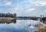 Kerst op de Veluwe, Nunspeet foto 5