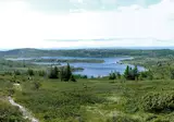 Fjorden, Gletsjers en Dalen foto 27