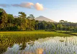 Ontdek Lombok foto 6