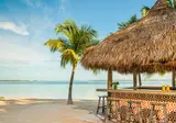 Baker's Cay Resort Key Largo, Curio Collection by Hilton foto 7
