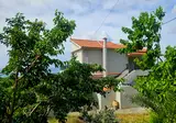 Appartementen Kefalonia View by Alex foto 9