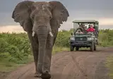 Zuid-Afrika in stijl foto 10