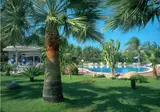 Hotel Costa Azzurra foto 19