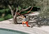 Paralos Irini Mare foto 18