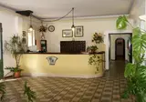 Delle Palme foto 6