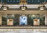 The Palazzo at The Venetian Resort foto 15