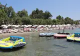 Okaliptus foto 19
