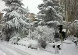 Gran Hotel de Jaca foto 5
