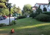 Zora foto 3