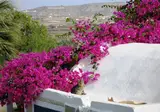 Paradise Resort Santorini foto 29