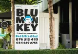 Blu Monkey Bed & Breakfast foto 9