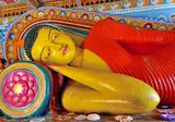 Rondreis Hoogtepunten van Sri Lanka foto 4