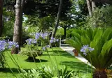 Albergo Mediterraneo foto 30