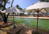 Pandanus Beach Resort & Spa foto 11