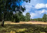Eurostrand Resort Lüneburger Heide foto 2