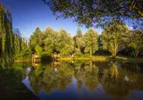 Domaine De L Etang foto 2