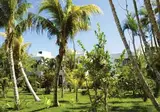 Sotavento Hotel & Yacht Club foto 25