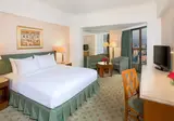 Ramses Hilton foto 24