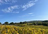 Il Podere di Marfisa foto 8
